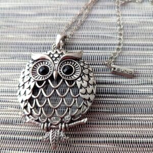 Charming Silver Owl Pendant Necklace With Magnifying Glass